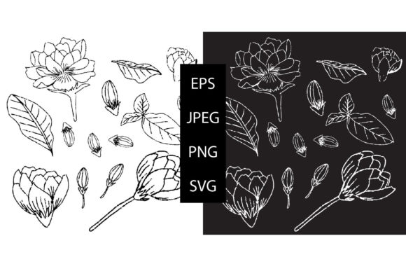 Finding the Perfect Floral Graphics: A Guide to the Doodles Jasmine Collection