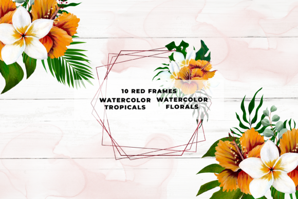 The Red Tropical Floral Boder: A Vector Resource for Modern Creators